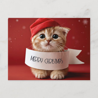 Cartes Pour Fêtes Annuelles Joli Chat Rouge Noël
