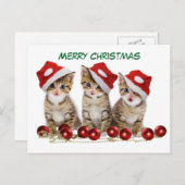 Cartes Pour Fêtes Annuelles Joli chatons Noël (Devant / Derrière)