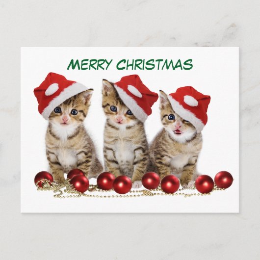 Cartes Pour Fêtes Annuelles Joli chatons Noël (Devant)