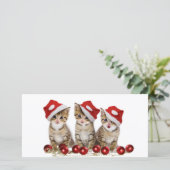 Cartes Pour Fêtes Annuelles Joli chatons Noël (Debout devant)