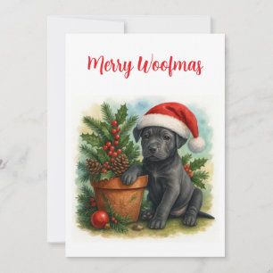 Cartes Pour Fêtes Annuelles Joli chien de Noël Merry Woofmas Christmas