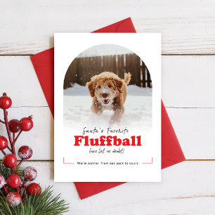 Cartes Pour Fêtes Annuelles Joli chien drôle vilain animal photo d'arch Noël