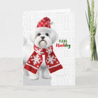 Cartes Pour Fêtes Annuelles Joli chien Shih Tzu Drôle de puces Navidog Noël