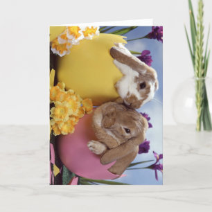 Cartes Pour Fêtes Annuelles Joli lapin de Pâques à l'intérieur des oeufs
