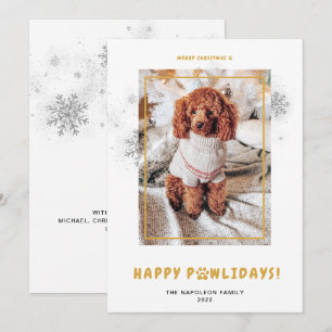 Cartes Pour Fêtes Annuelles Joli Noël Joyeux Joyeux PAWlidays Photo Animaux