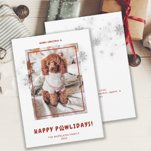 Cartes Pour Fêtes Annuelles Joli Noël Joyeux Joyeux PAWlidays Photo Animaux