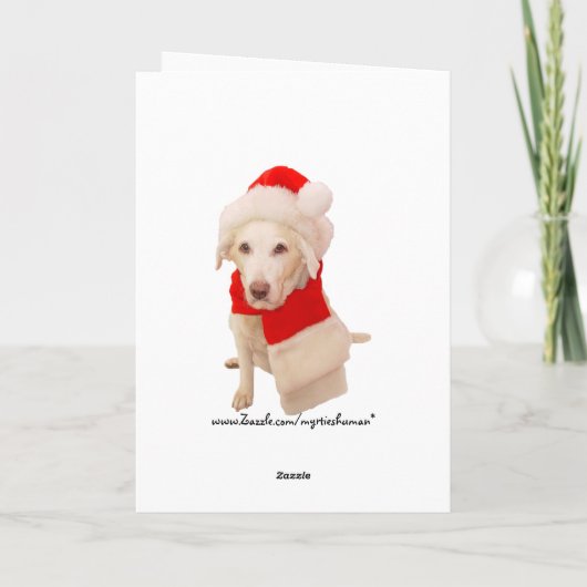 Cartes Pour Fêtes Annuelles Joli Père Noël blanc Kitty (Dos)