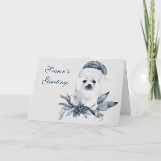 Cartes Pour Fêtes Annuelles Joli phoque de Noël pour bébé (Devant)