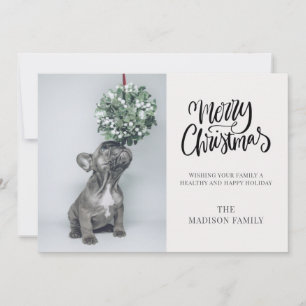 Cartes Pour Fêtes Annuelles Joli Photo de Chien Personnalisé Gui de Noël Joyeu
