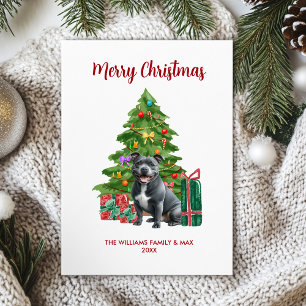 Cartes Pour Fêtes Annuelles Jolie famille de chien Pitbull pour Noël
