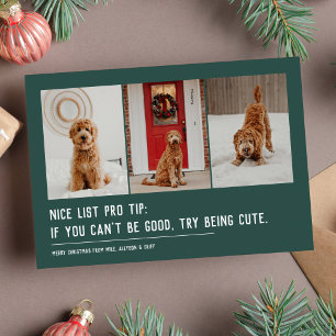 Cartes Pour Fêtes Annuelles Jolie liste drôle animal familier trois photo vert