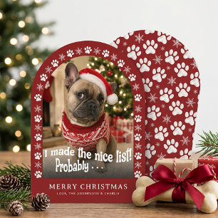 Cartes Pour Fêtes Annuelles Jolie photo de chien drôle de Noël 