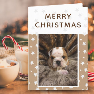 Cartes Pour Fêtes Annuelles Jolie photo de chiot de chien Stars Joyeux Noël