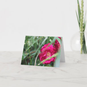 Cartes Pour Fêtes Annuelles Jolie rose de la fête des mères
