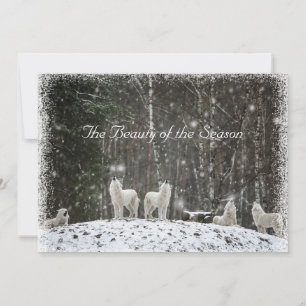 Cartes Pour Fêtes Annuelles Jolie scène de neige Nature Loups Personnaliser No
