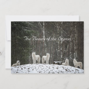 Cartes Pour Fêtes Annuelles Jolie scène de neige Nature Loups Personnaliser No