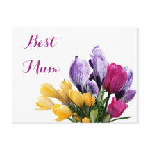 Jolie tulipe jaune violet pour maman