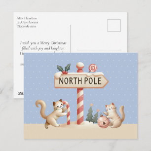 Cartes Pour Fêtes Annuelles Jolis Chatons Noël Pôle Nord