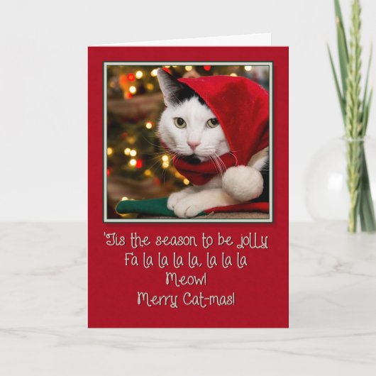 Cartes Pour Fêtes Annuelles Jolly Cat-mas (Devant)