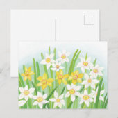 Cartes Pour Fêtes Annuelles Jonquilles printanières  (Devant / Derrière)
