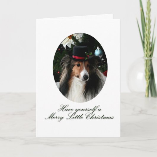 Cartes Pour Fêtes Annuelles Jory Little Sheltie (Devant)