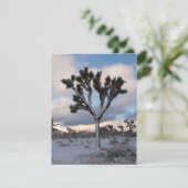 Cartes Pour Fêtes Annuelles Joshua Tree Snowy Matin #2 (Debout devant)