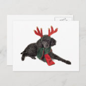 Cartes Pour Fêtes Annuelles Jouet noir de Noël Chien de caniche habillé en ren (Devant / Derrière)