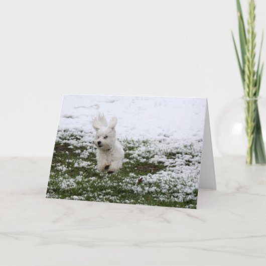 Cartes Pour Fêtes Annuelles Jour de neige de chiot (Devant)