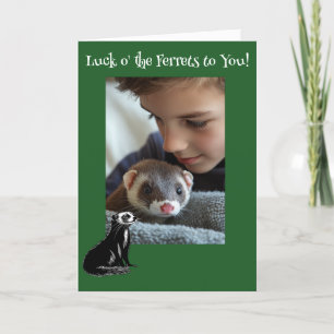 Cartes Pour Fêtes Annuelles Jour des Ferrets Ferret St. Patrick