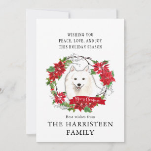 Cartes Pour Fêtes Annuelles Jour Poinsettia