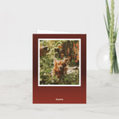 Cartes Pour Fêtes Annuelles JOY 2 Typographie photo Noël (Dos)