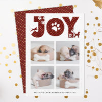 JOY Paws Gold | Pet Lovers Four Photo Collage