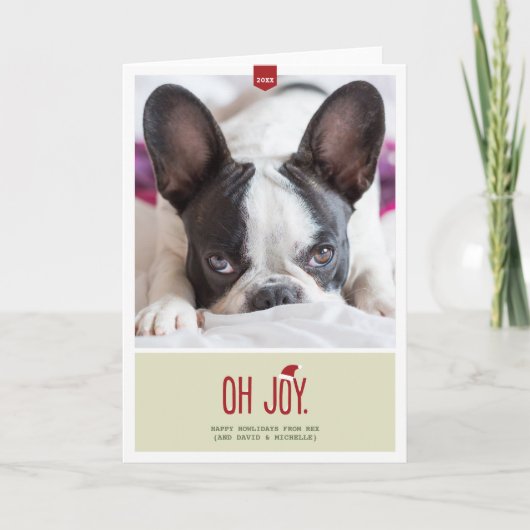 Cartes Pour Fêtes Annuelles Joy | Photo Folded Holiday (Devant)