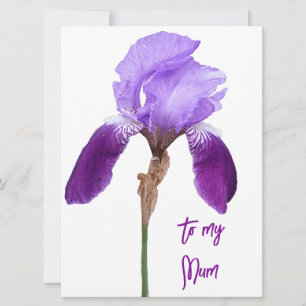 Cartes Pour Fêtes Annuelles Joyeuse fête des mères iris mauve fleurie