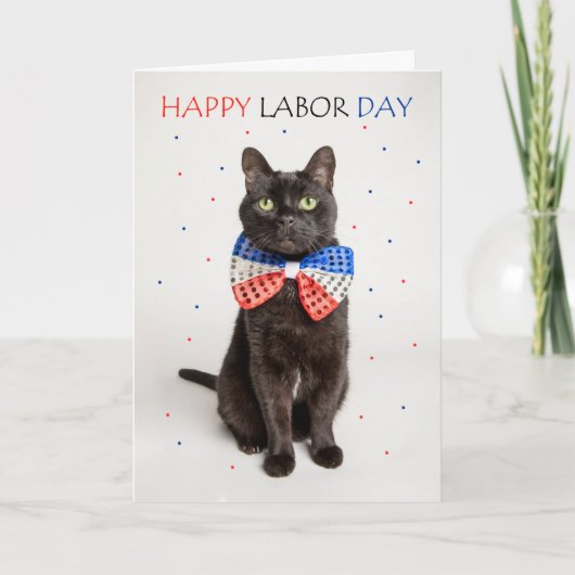 Cartes Pour Fêtes Annuelles Joyeuse Fête du Travail Chat patriotique à Bow Cra (Devant)