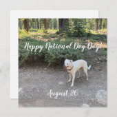 Cartes Pour Fêtes Annuelles Joyeuse Journée nationale du chien ! (Devant / Derrière)