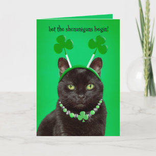 Cartes Pour Fêtes Annuelles Joyeuse Saint-Patrick à tous pour l'humour des cha