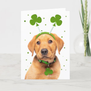 Cartes Pour Fêtes Annuelles Joyeuse Saint-Patrick à tout chien en bandeau