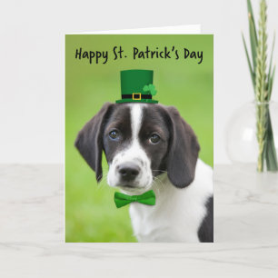 Cartes Pour Fêtes Annuelles Joyeuse Saint-Patrick à tout joli chiot Beagle