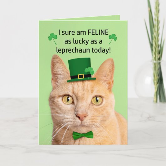 Cartes Pour Fêtes Annuelles Joyeuse Saint-Patrick Ami Chat Mignon Leprechaun (Devant)