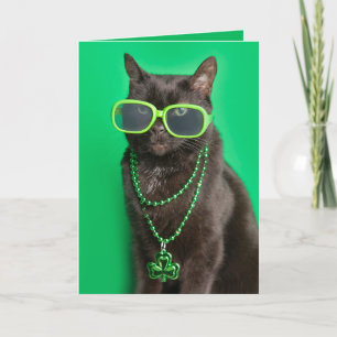 Cartes Pour Fêtes Annuelles Joyeuse Saint-Patrick Chat en Vert Humour