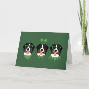 Cartes Pour Fêtes Annuelles Joyeuse Saint-Patrick Chiens de Montagne Bernois