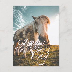 Cartes Pour Fêtes Annuelles Joyeuse Saint-Valentin avec cheval regardant