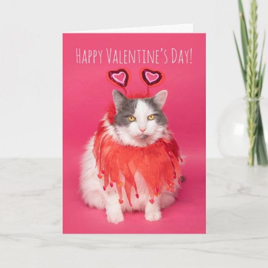 Cartes Pour Fêtes Annuelles Joyeuse Saint-Valentin Chat Chaleureux et Flou (Devant)