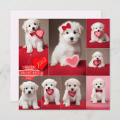 Cartes Pour Fêtes Annuelles Joyeuse Saint-Valentin Chiens (Devant / Derrière)