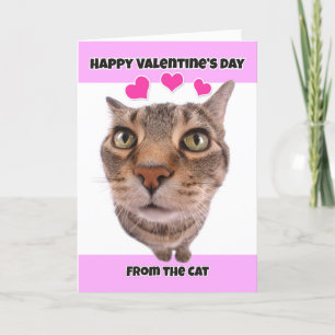 Cartes Pour Fêtes Annuelles Joyeuse Saint-Valentin de la part de Cat Humor