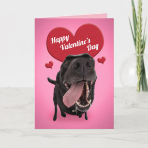Cartes Pour Fêtes Annuelles Joyeuse Saint-Valentin Humour de Chien Mignon
