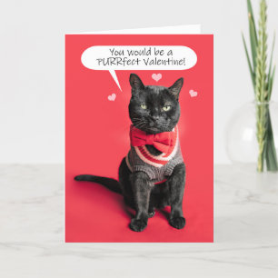 Cartes Pour Fêtes Annuelles Joyeuse Saint-Valentin Mignon Chat Habillé Humour