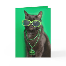 Joyeuse St Patrick Cat en Vert Humour 