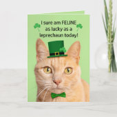 Cartes Pour Fêtes Annuelles Joyeuse St Patrick Day Ami Chat Mignon Lutins (Devant)